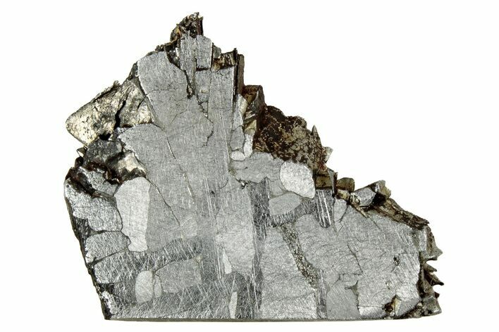 Etched Toluca Iron Meteorite ( g) Slice - Mexico #346481